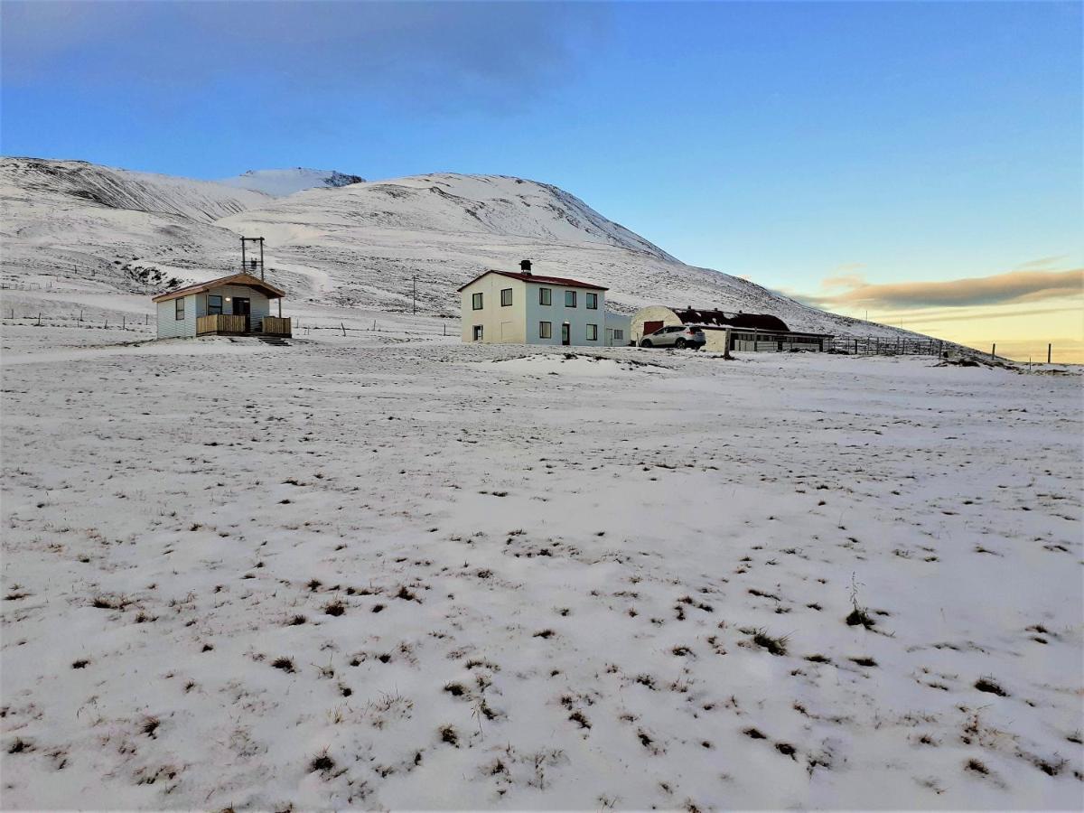 Skarth Guesthouse Saudarkrokur Εξωτερικό φωτογραφία